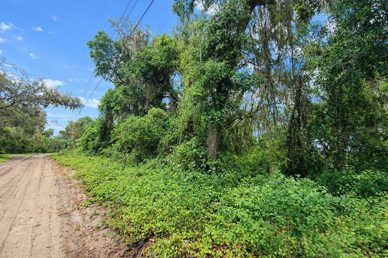 TBD NE 52ND CT, Anthony, FL 32617