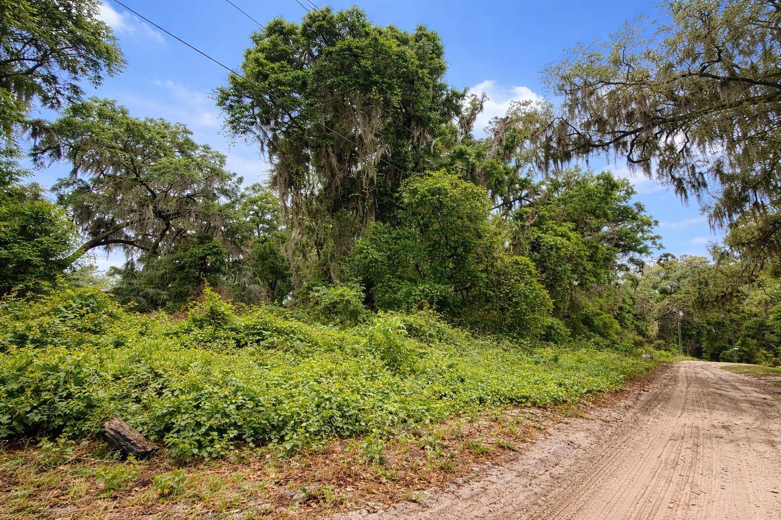 TBD NE 52ND CT, Anthony, FL 32617