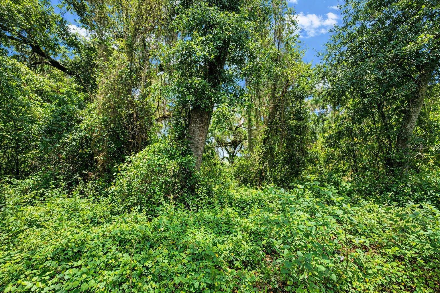 TBD NE 52ND CT, Anthony, FL 32617