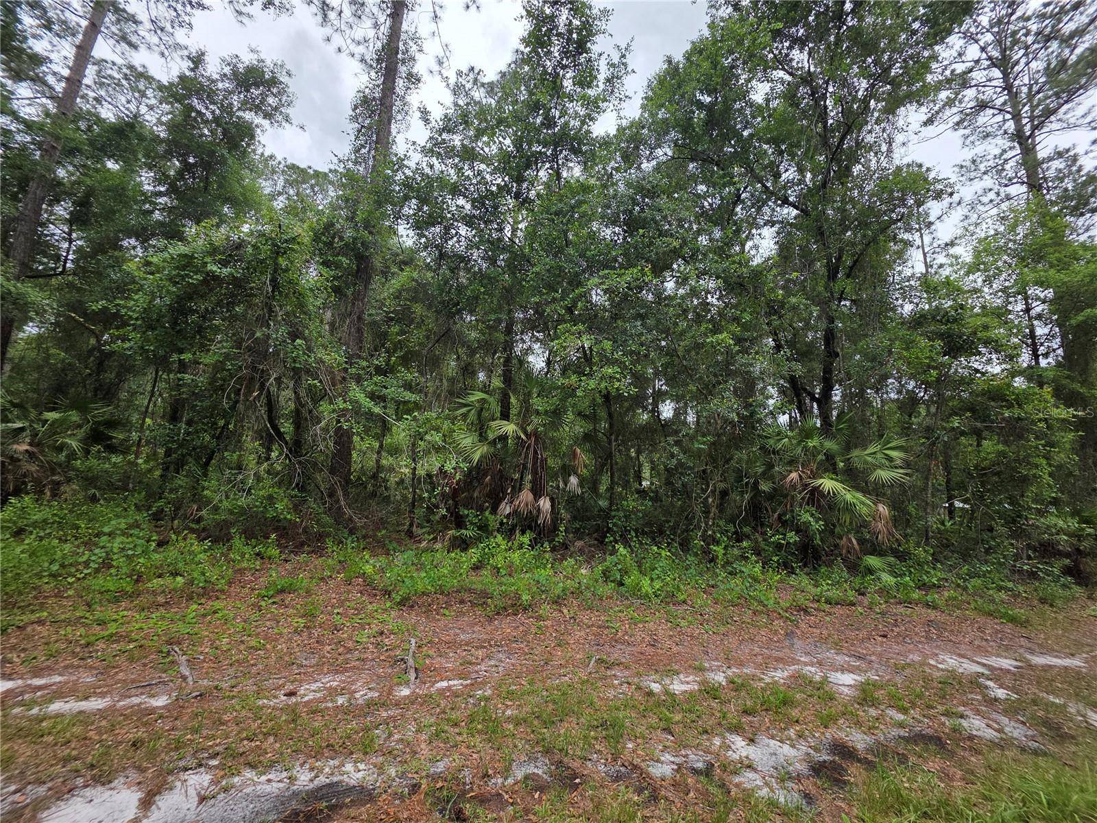 00 NE 66TH CT, Citra, FL 32113