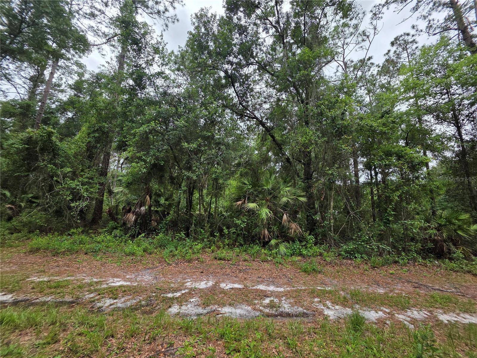 00 NE 66TH CT, Citra, FL 32113