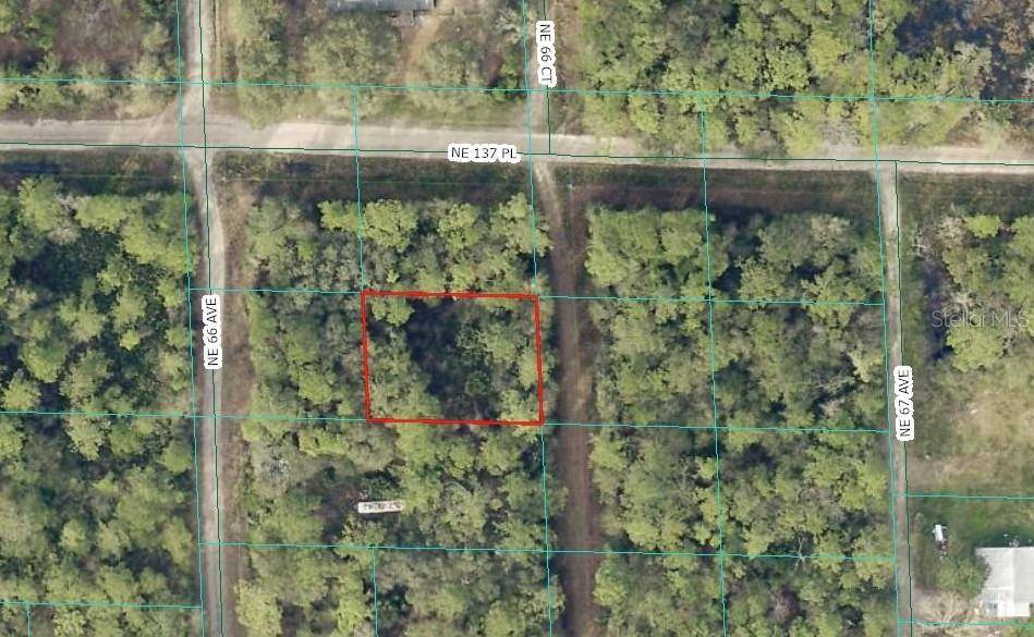 00 NE 66TH CT, Citra, FL 32113