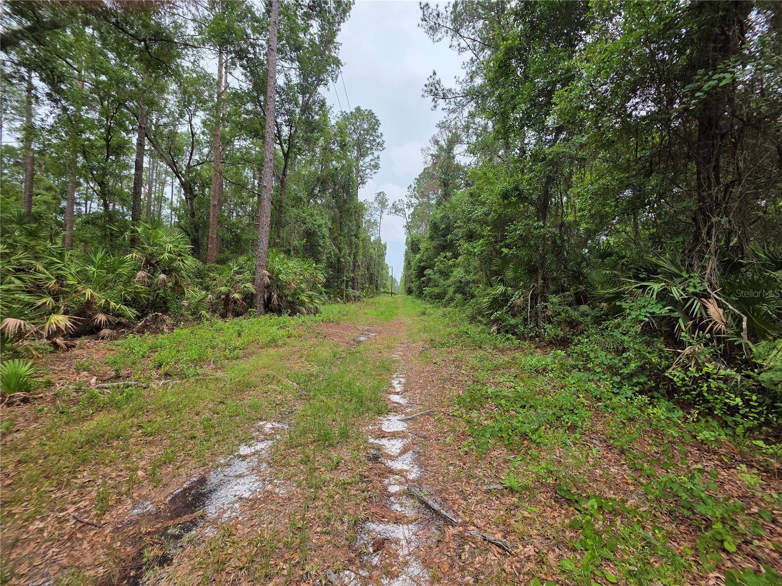 00 NE 66TH CT, Citra, FL 32113