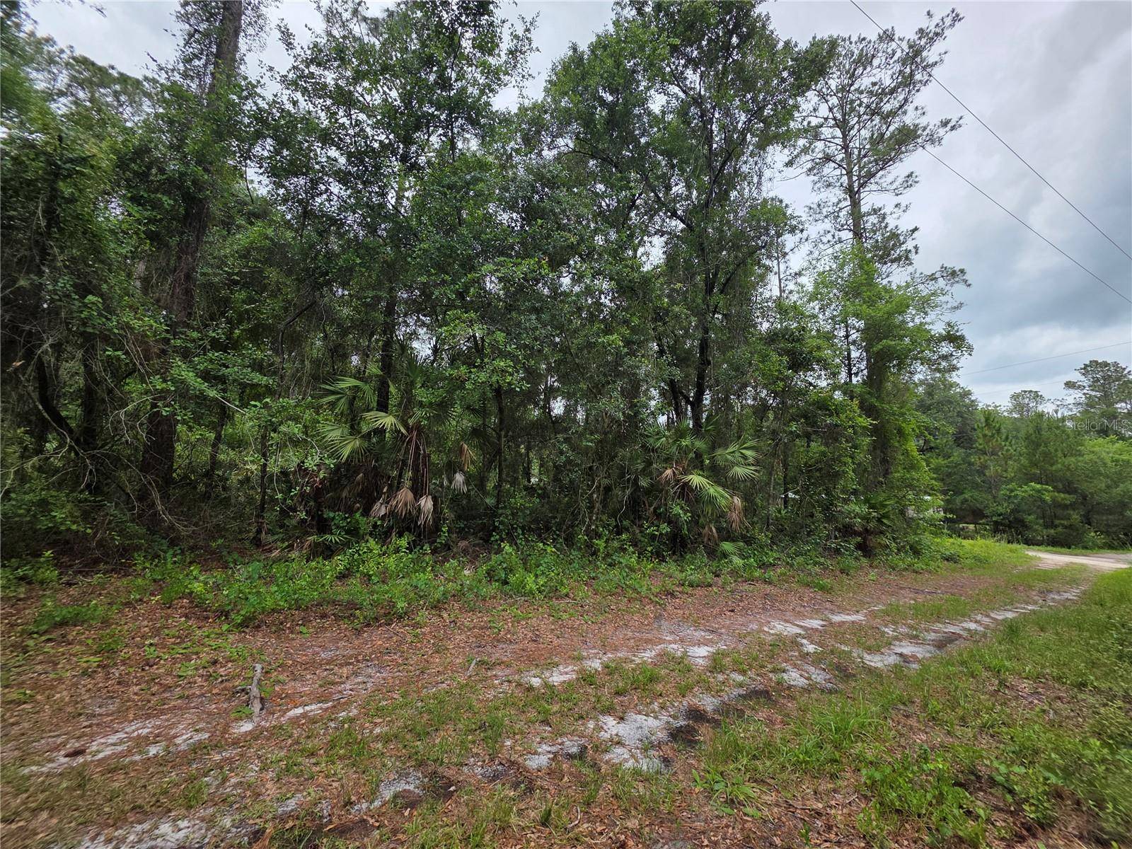 00 NE 66TH CT, Citra, FL 32113