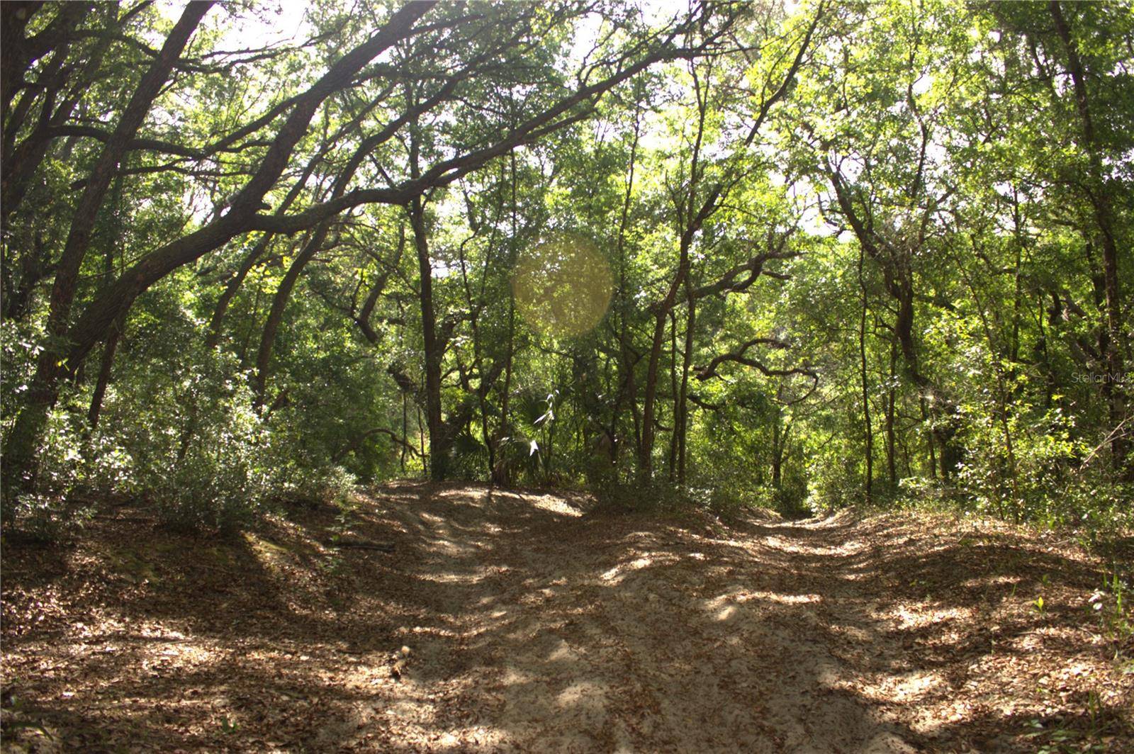 REDBUD RD, Lady Lake, FL 32159