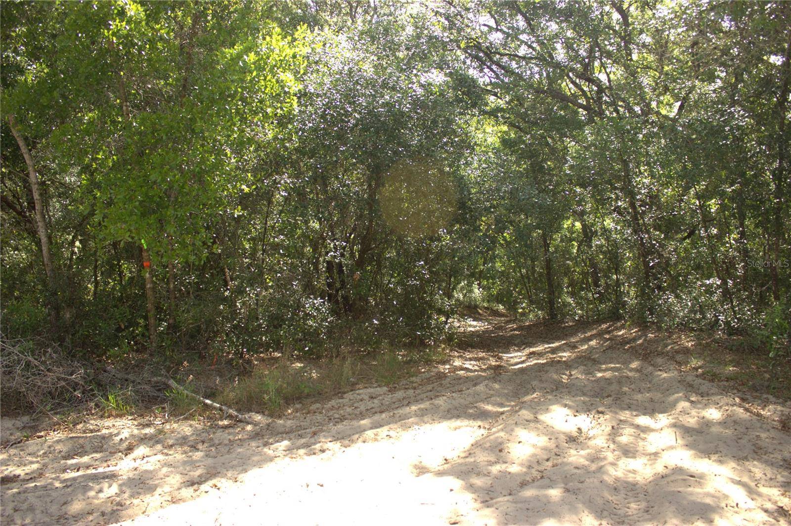 REDBUD RD, Lady Lake, FL 32159