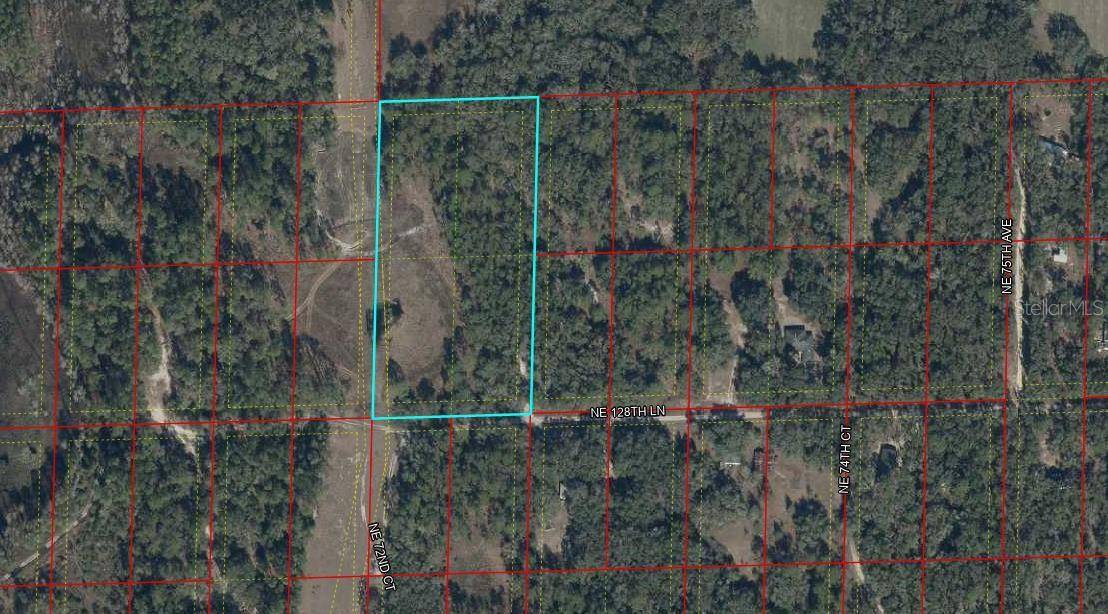 TBD NE 128TH LN, Bronson, FL 32621
