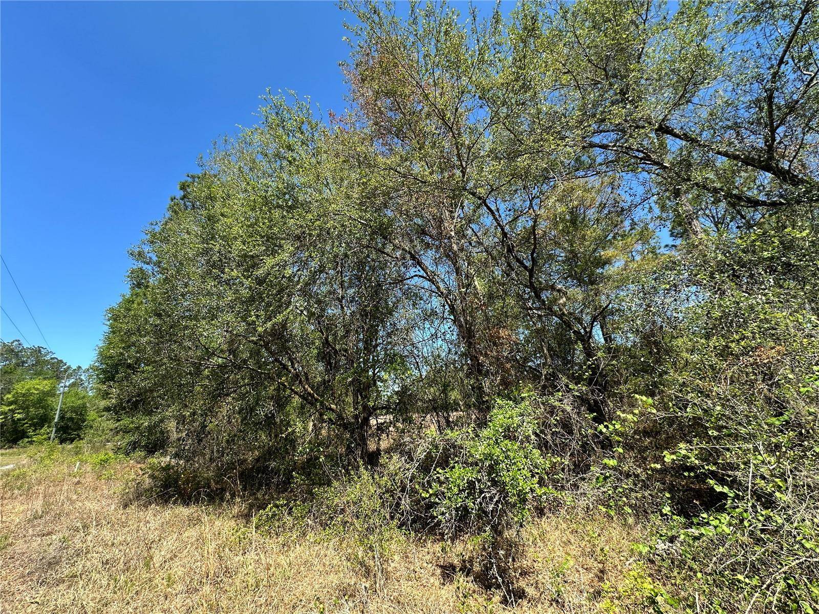 TBD NE 128TH LN, Bronson, FL 32621