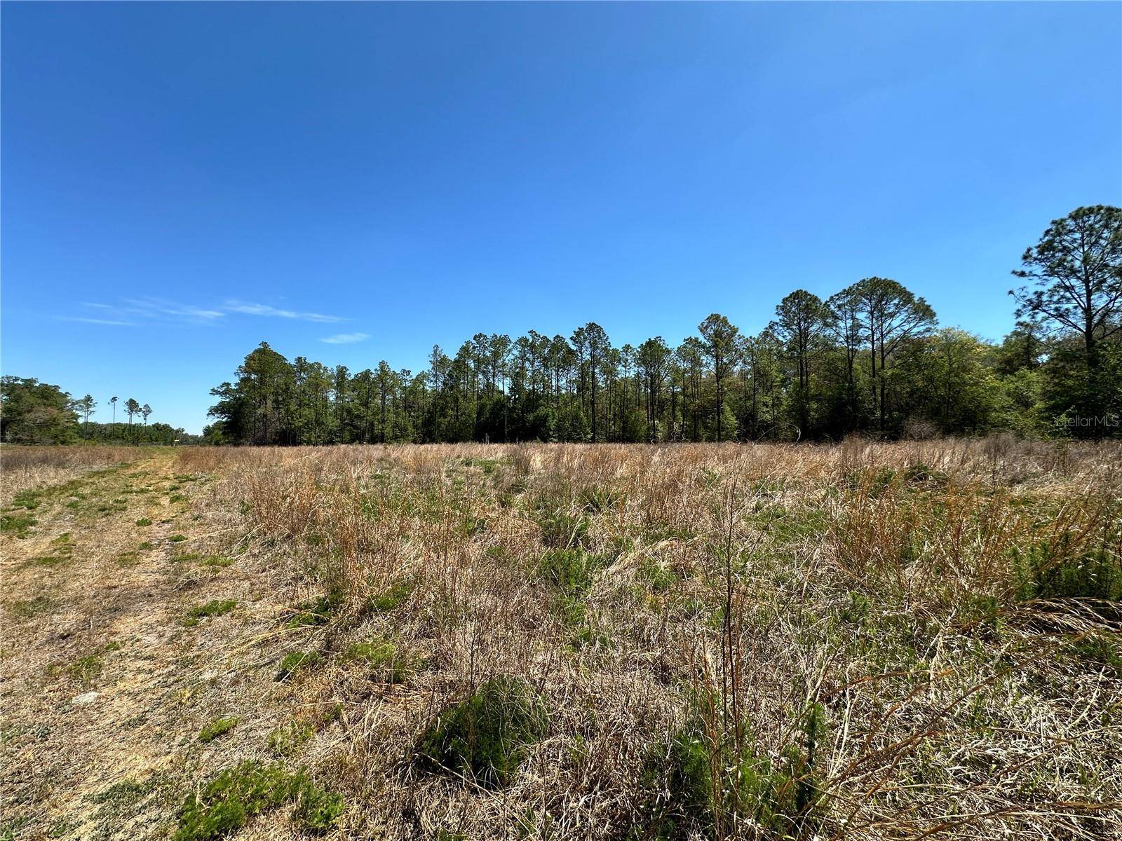 TBD NE 128TH LN, Bronson, FL 32621