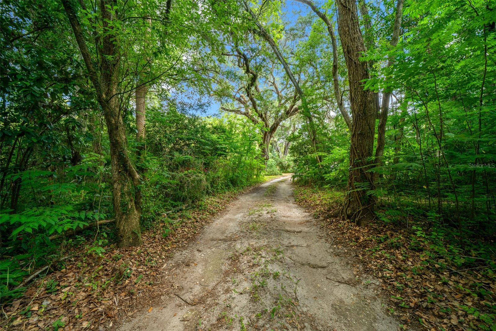 1985 NE 97TH STREED RD, Anthony, FL 32617