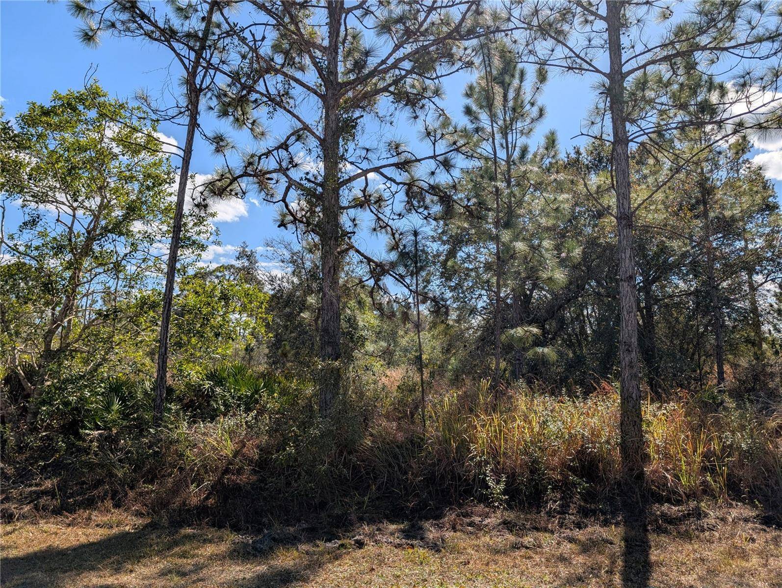 711 AZALEA DR, Indian Lake Estates, FL 33855