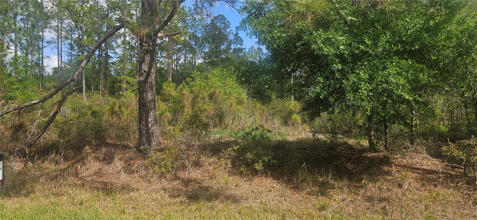408 PANDORA DR, Indian Lake Estates, FL 33855