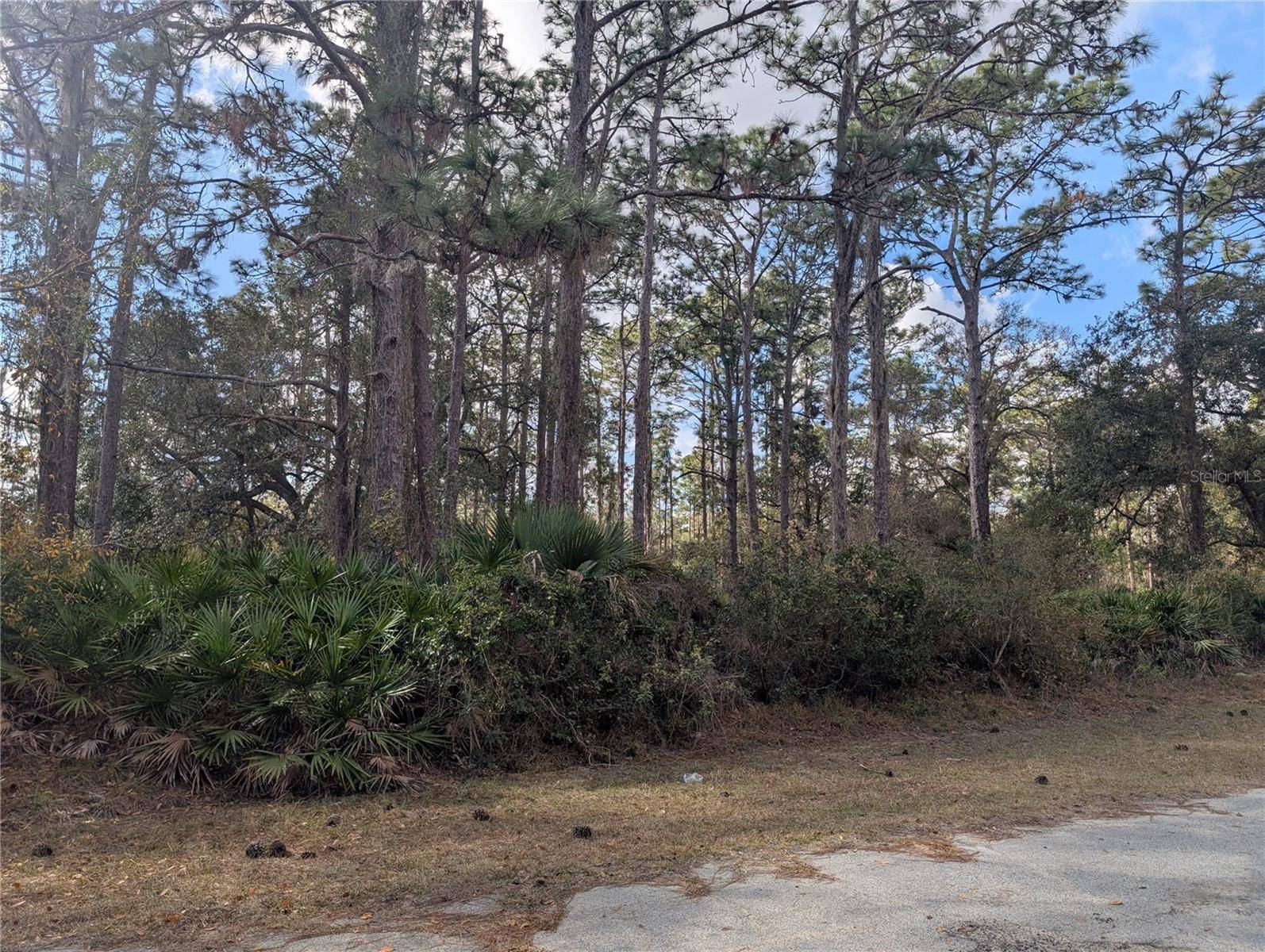 ALLAMANDA DR, Indian Lake Estates, FL 33855