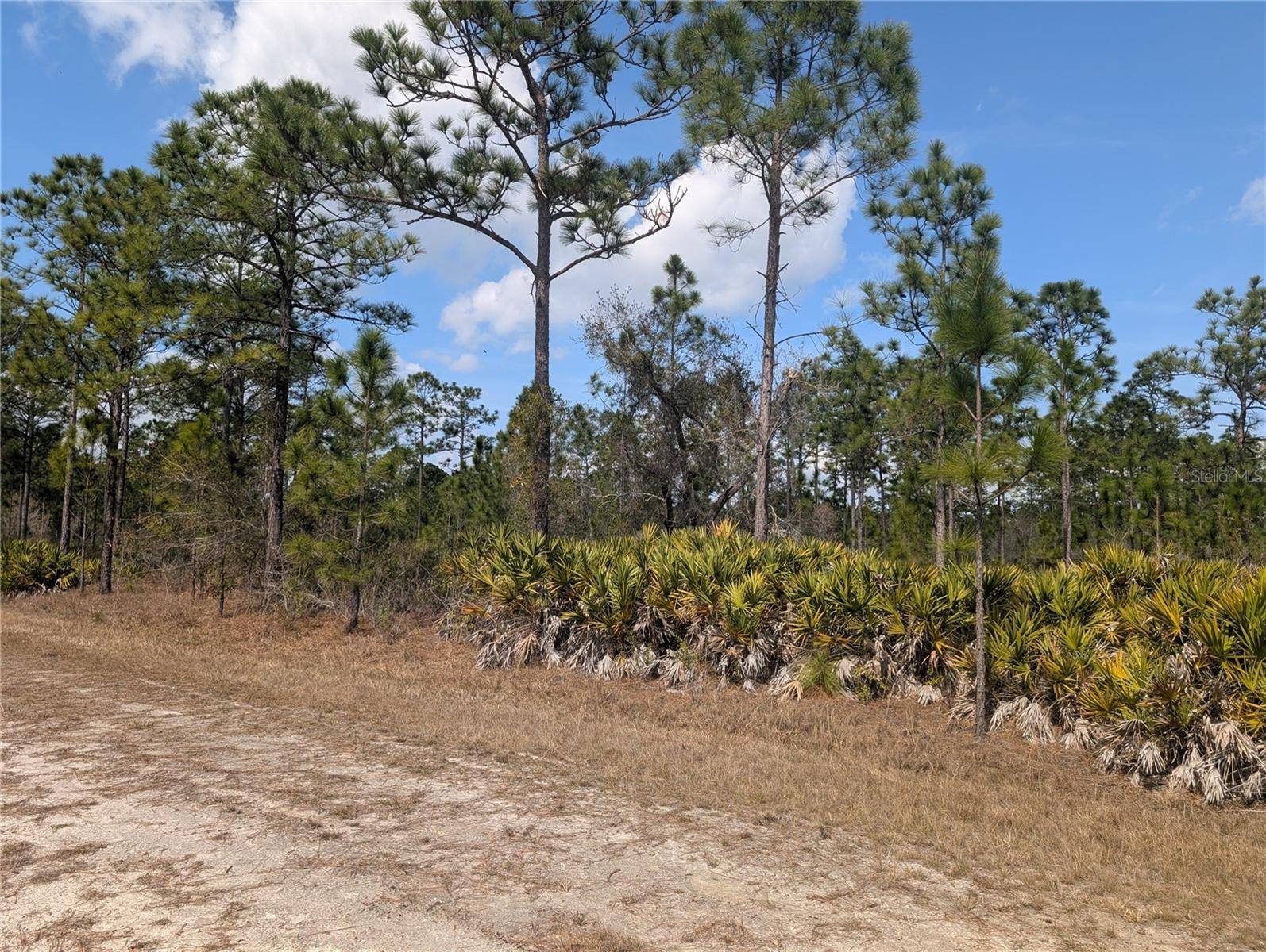614 ALBA DR, Indian Lake Estates, FL 33855