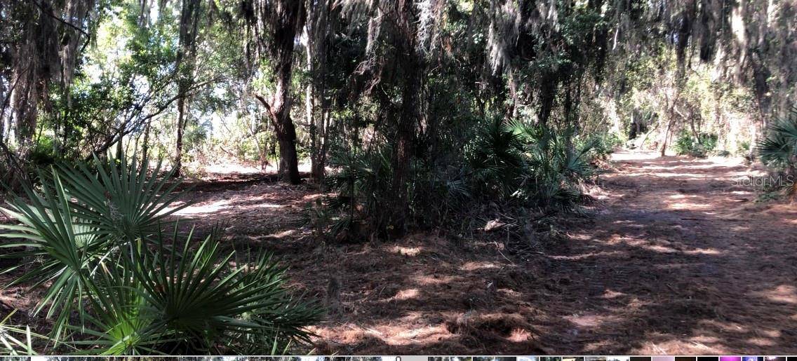 LAKE REEDY BLVD N, Frostproof, FL 33843