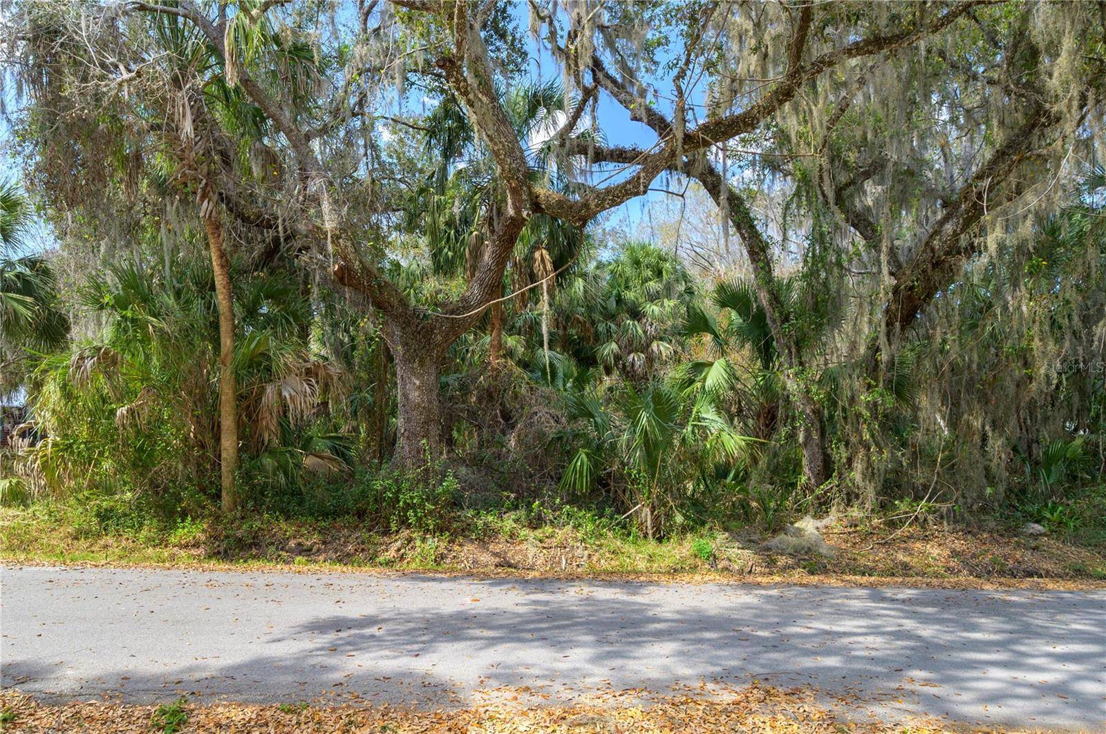 00 W BEACH Pkwy #0, Lake Wales, FL 33898