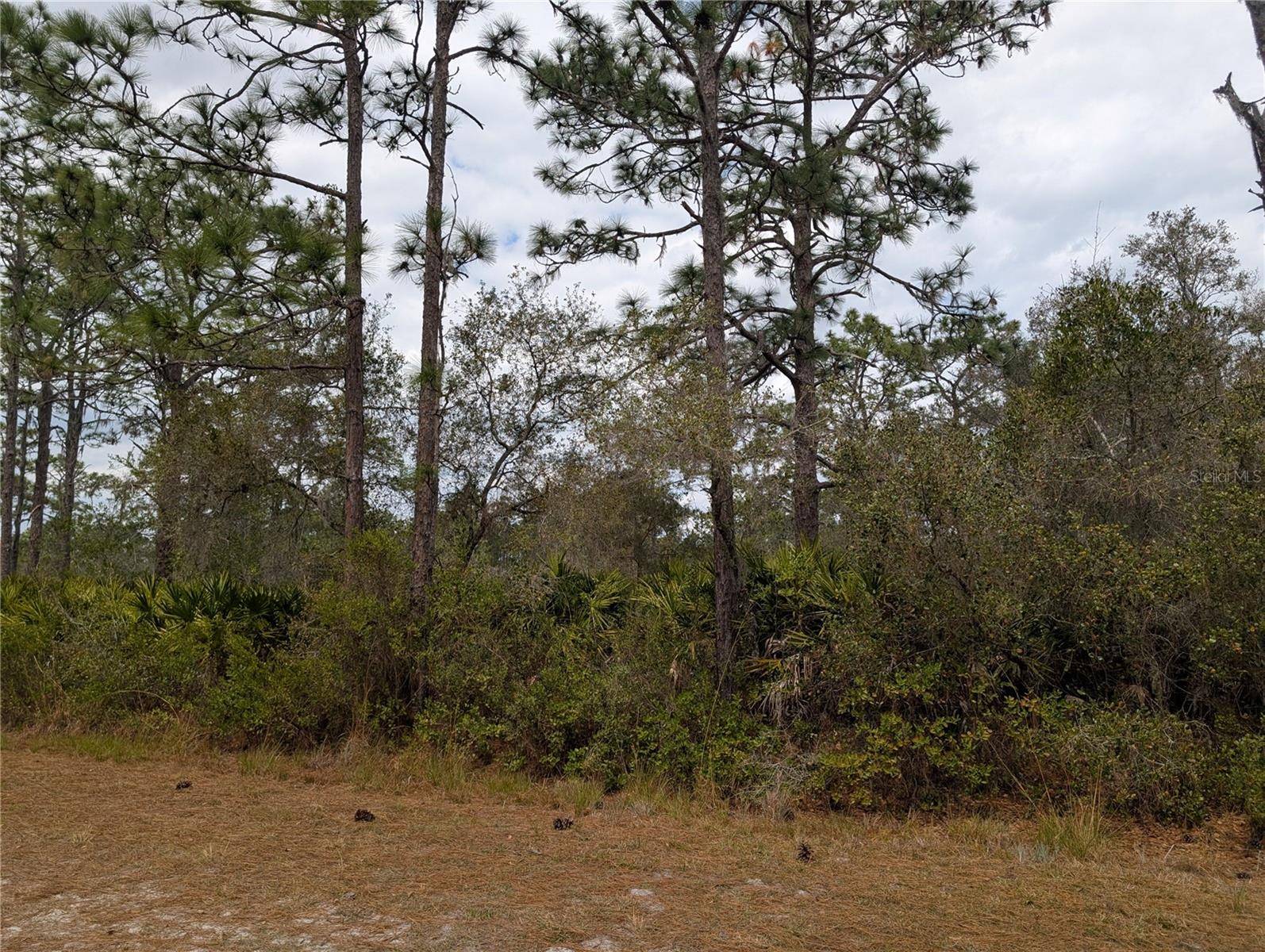 416 BOUGAINVILLE DR, Indian Lake Estates, FL 33855