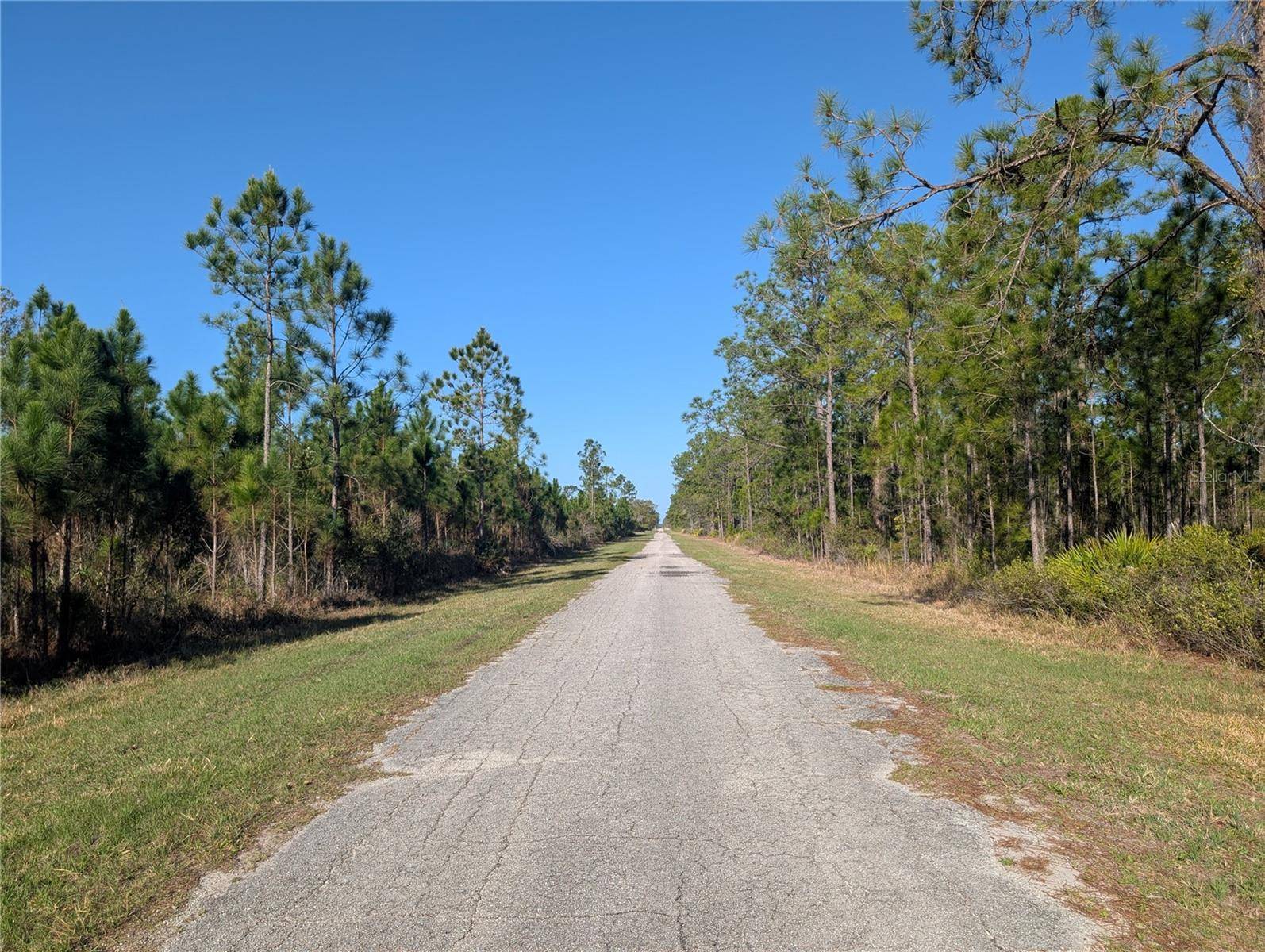 207 VALENCIA DR, Indian Lake Estates, FL 33855