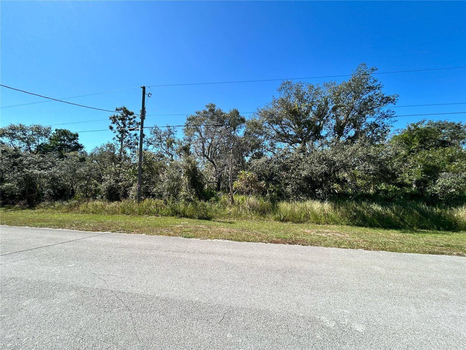 WOODSTORK WAY, Frostproof, FL 33843
