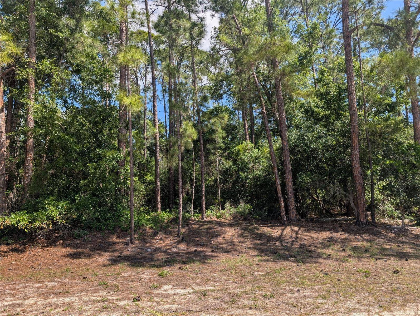 1114 PLUMOSA DR, Indian Lake Estates, FL 33855