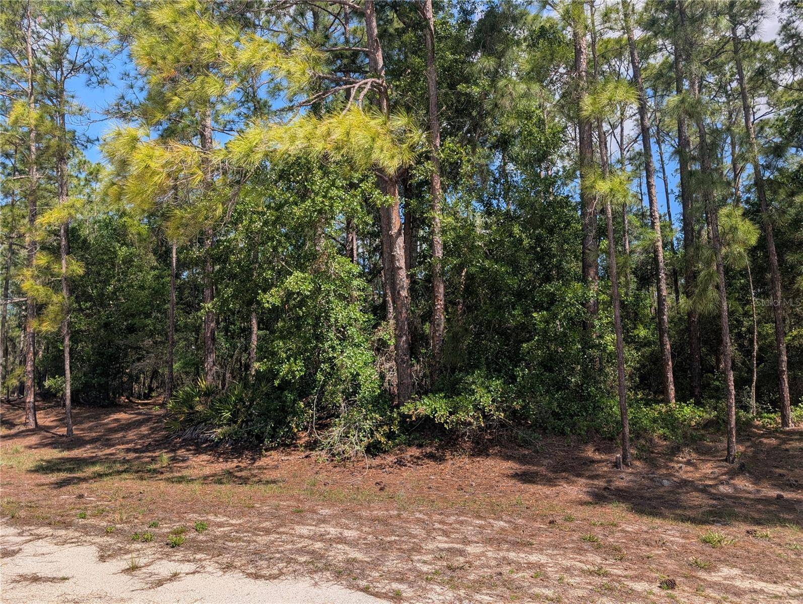 1114 PLUMOSA DR, Indian Lake Estates, FL 33855