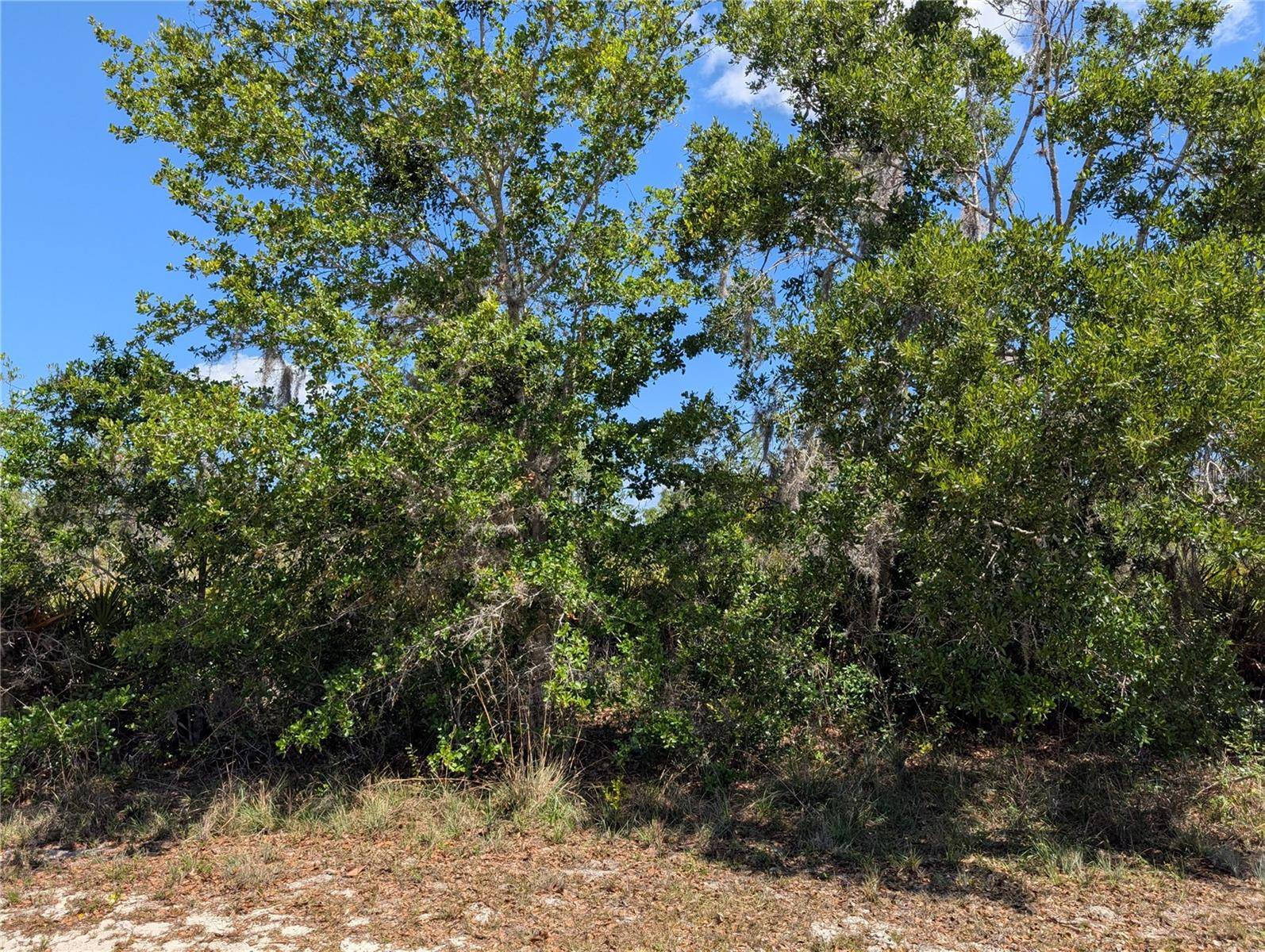 816 BOUGAINVILLE DR, Indian Lake Estates, FL 33855