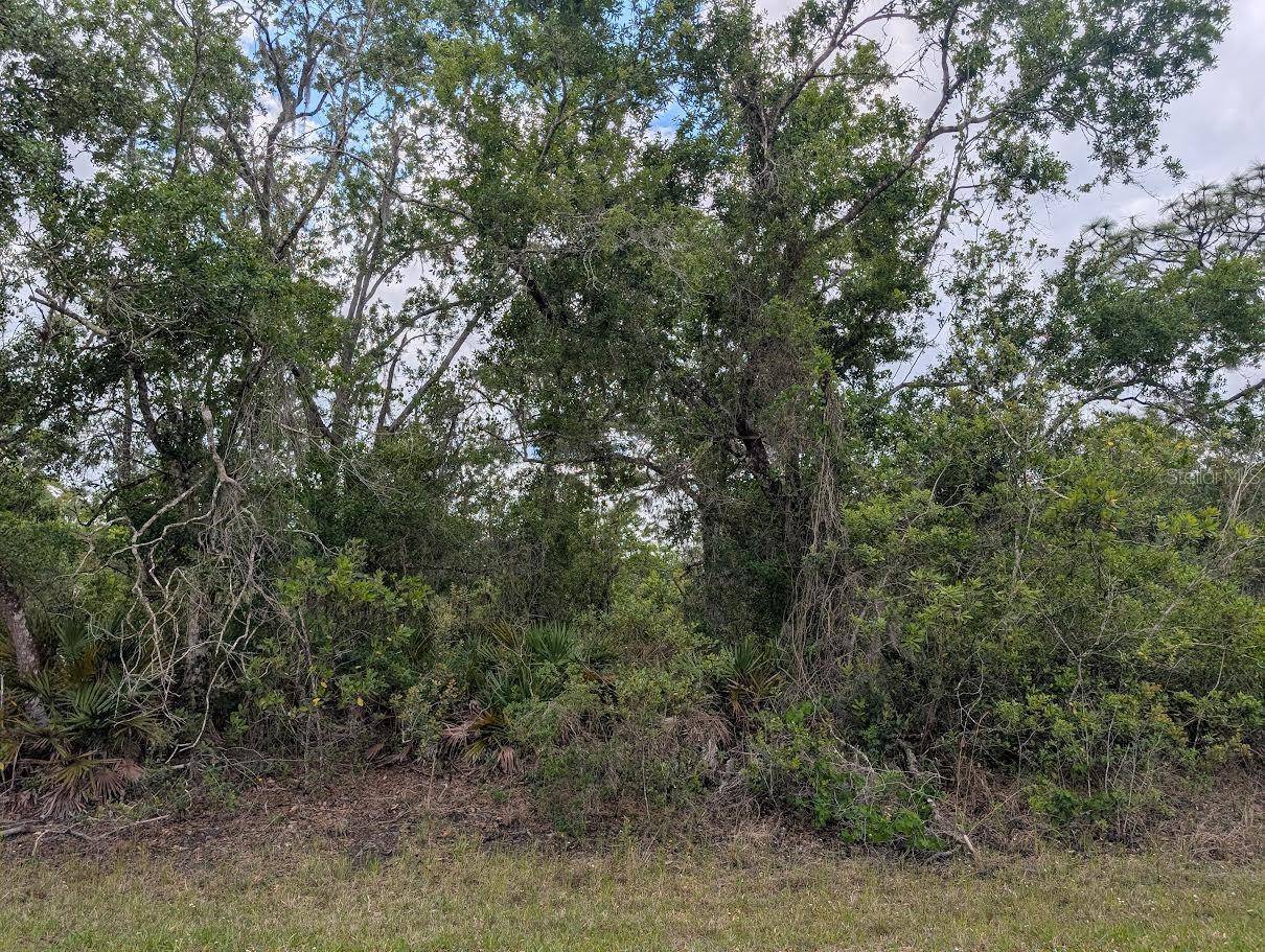 1009 AZALEA DR, Indian Lake Estates, FL 33855