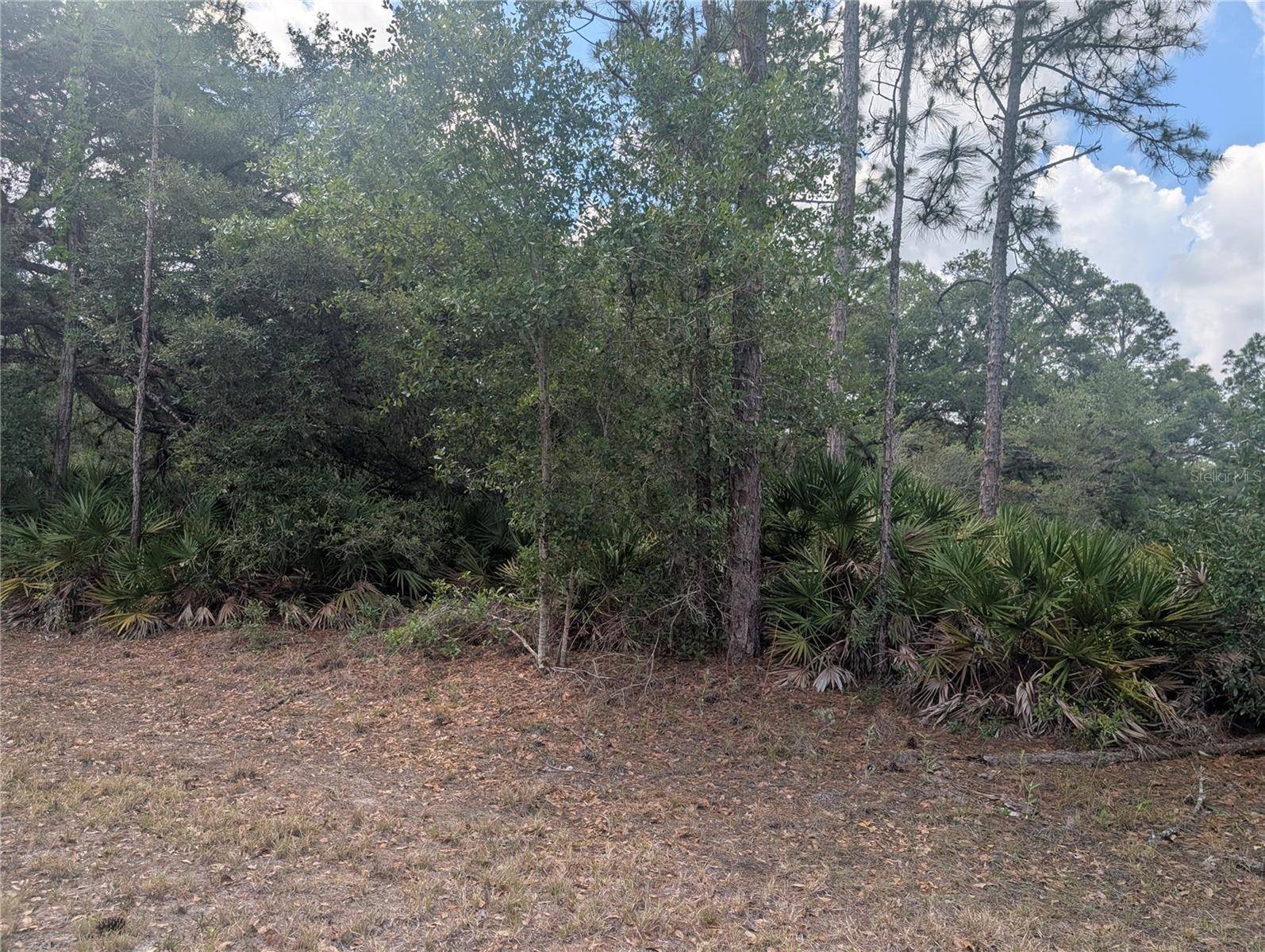 ALLAMANDA DR, Indian Lake Estates, FL 33855