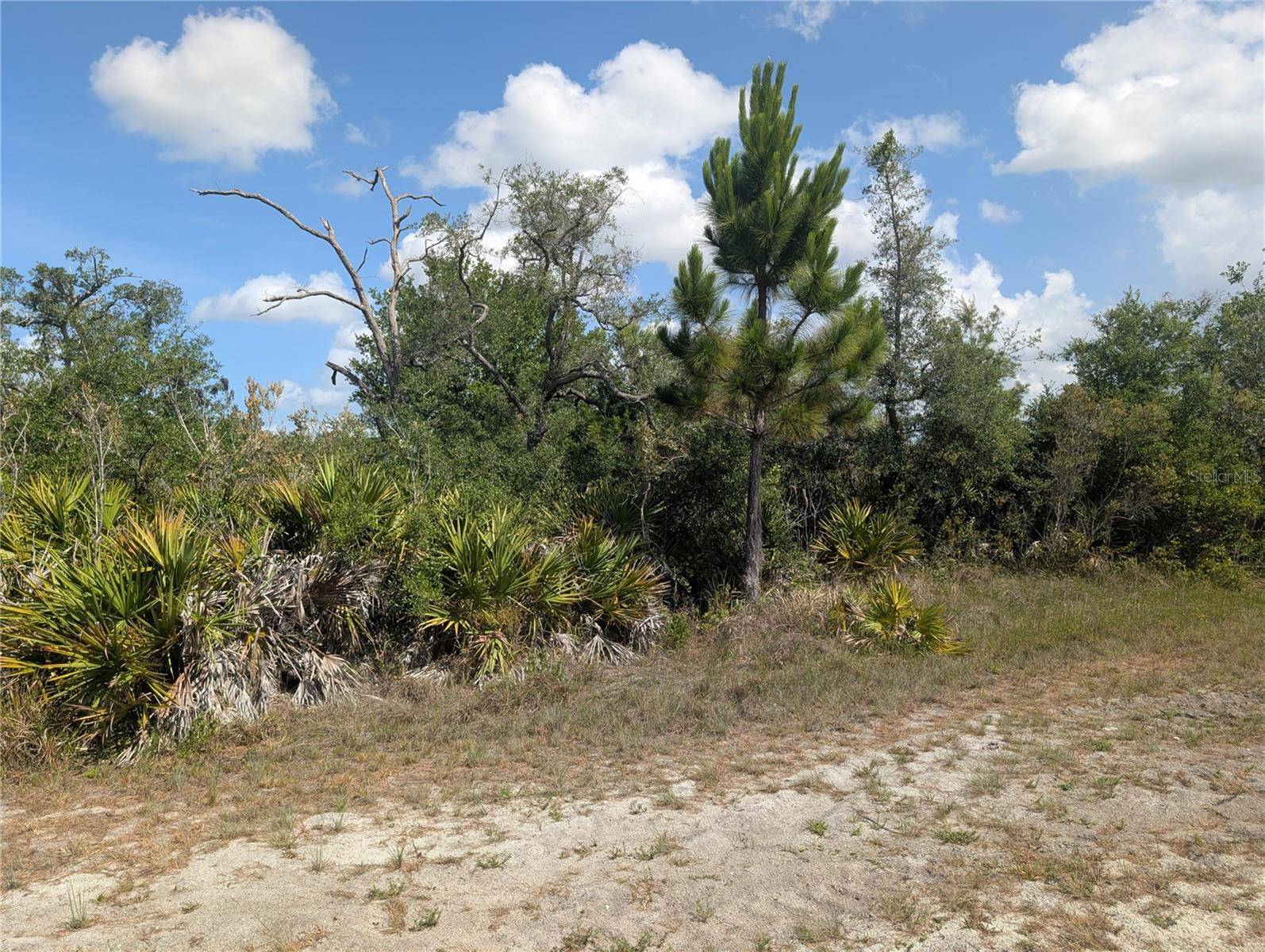 LAKELAND DR, Indian Lake Estates, FL 33855