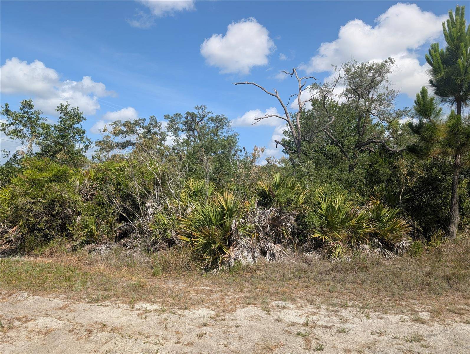 LAKELAND DR, Indian Lake Estates, FL 33855