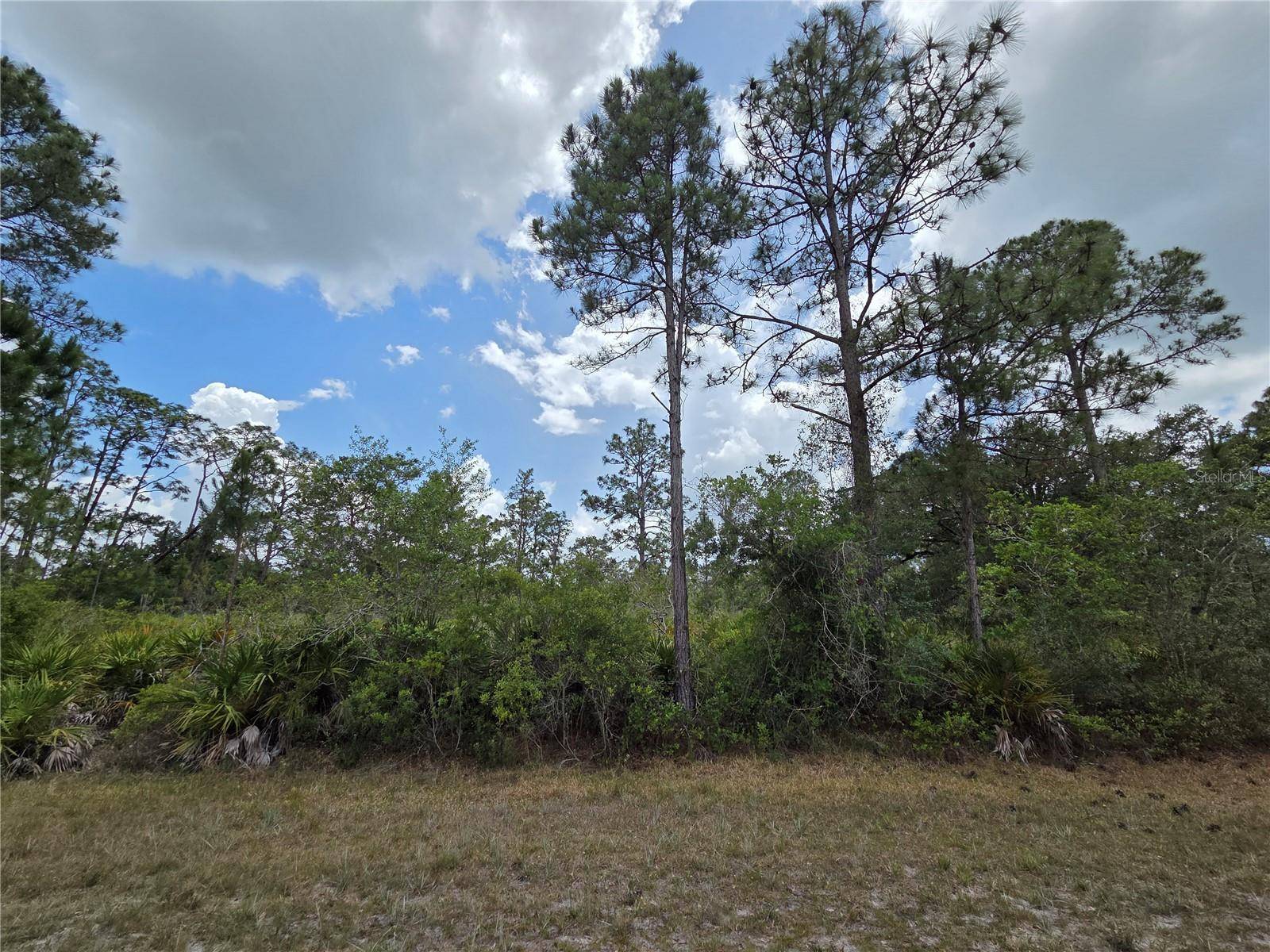915 LAGUNA DR, Indian Lake Estates, FL 33855