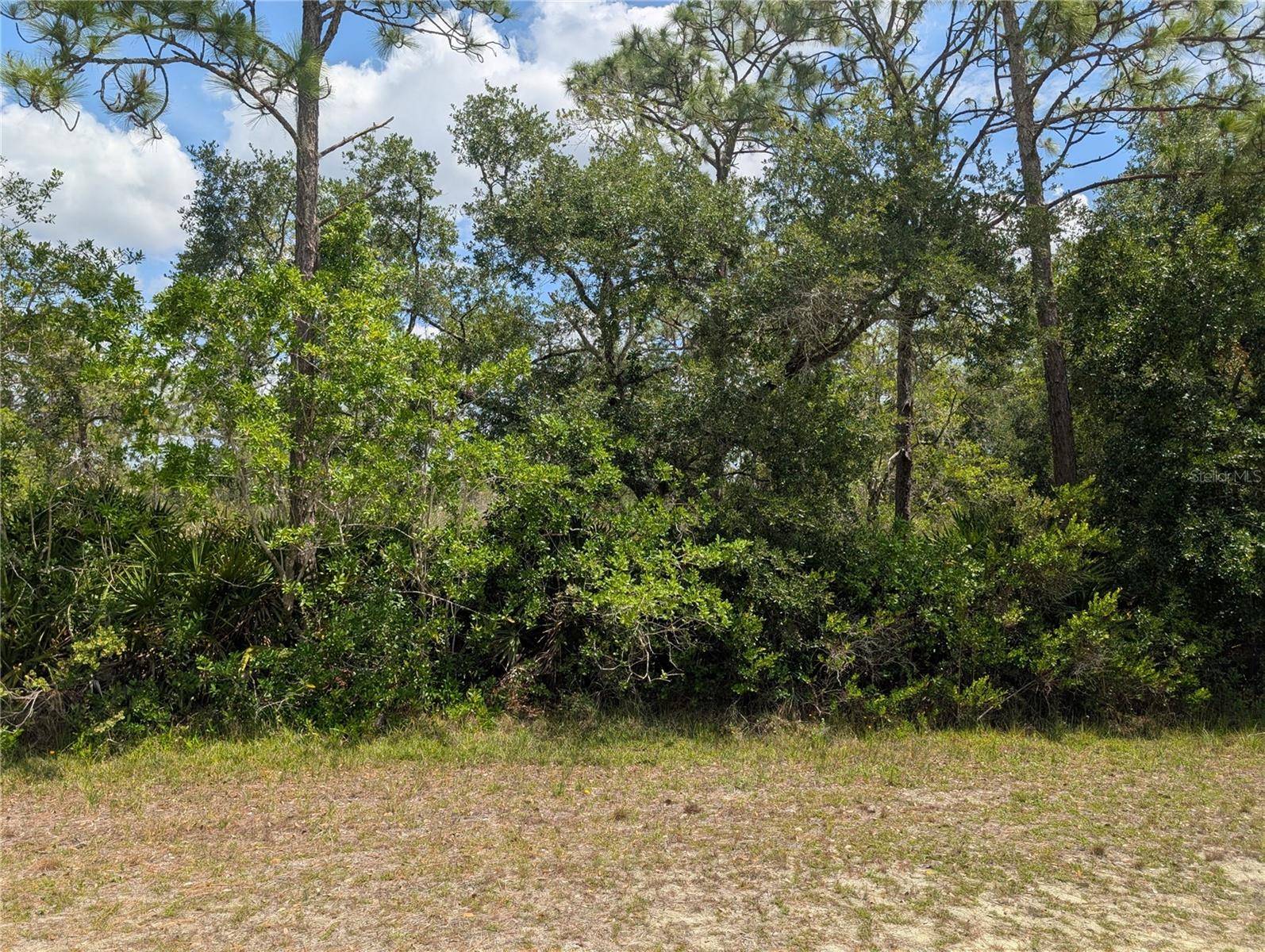 716 ORCHID DR, Indian Lake Estates, FL 33855