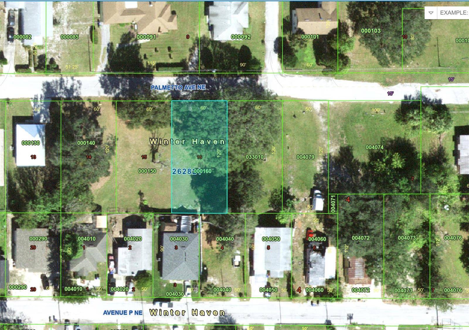 PALMETTO AVE NE, Winter Haven, FL 33881