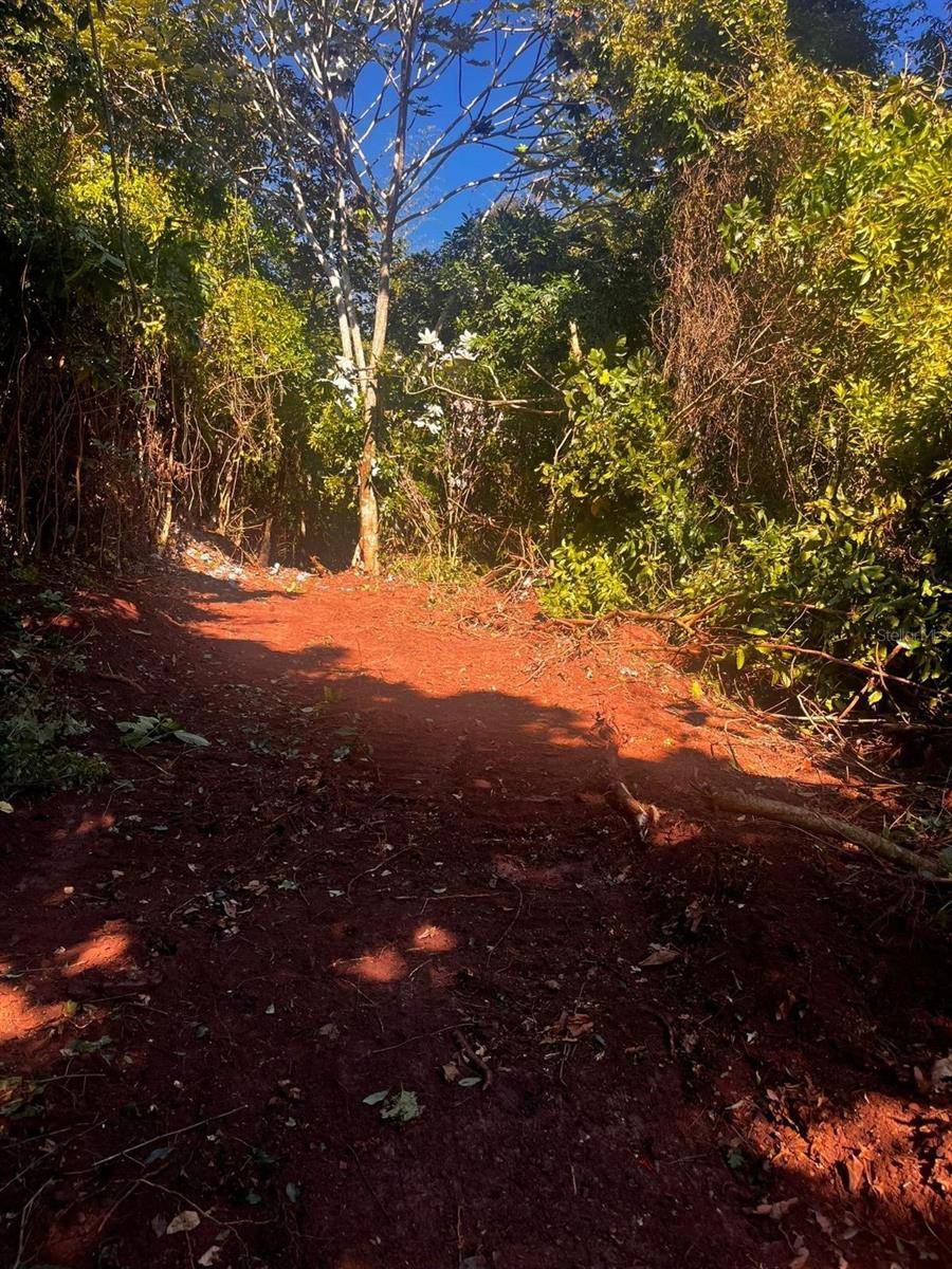 Solar 27 BARRIO CORDILLERA, Ciales, PR 00638