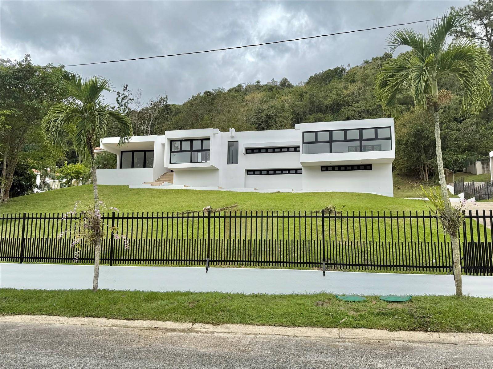#8 CALLE INDUSTRIAL URB. EL RETIRO, Caguas, PR 00725