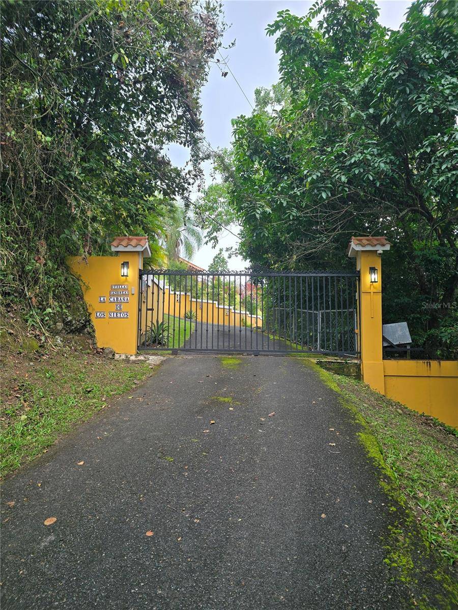 BO PULGUILLAS, CARR. 723, Coamo, PR 00769
