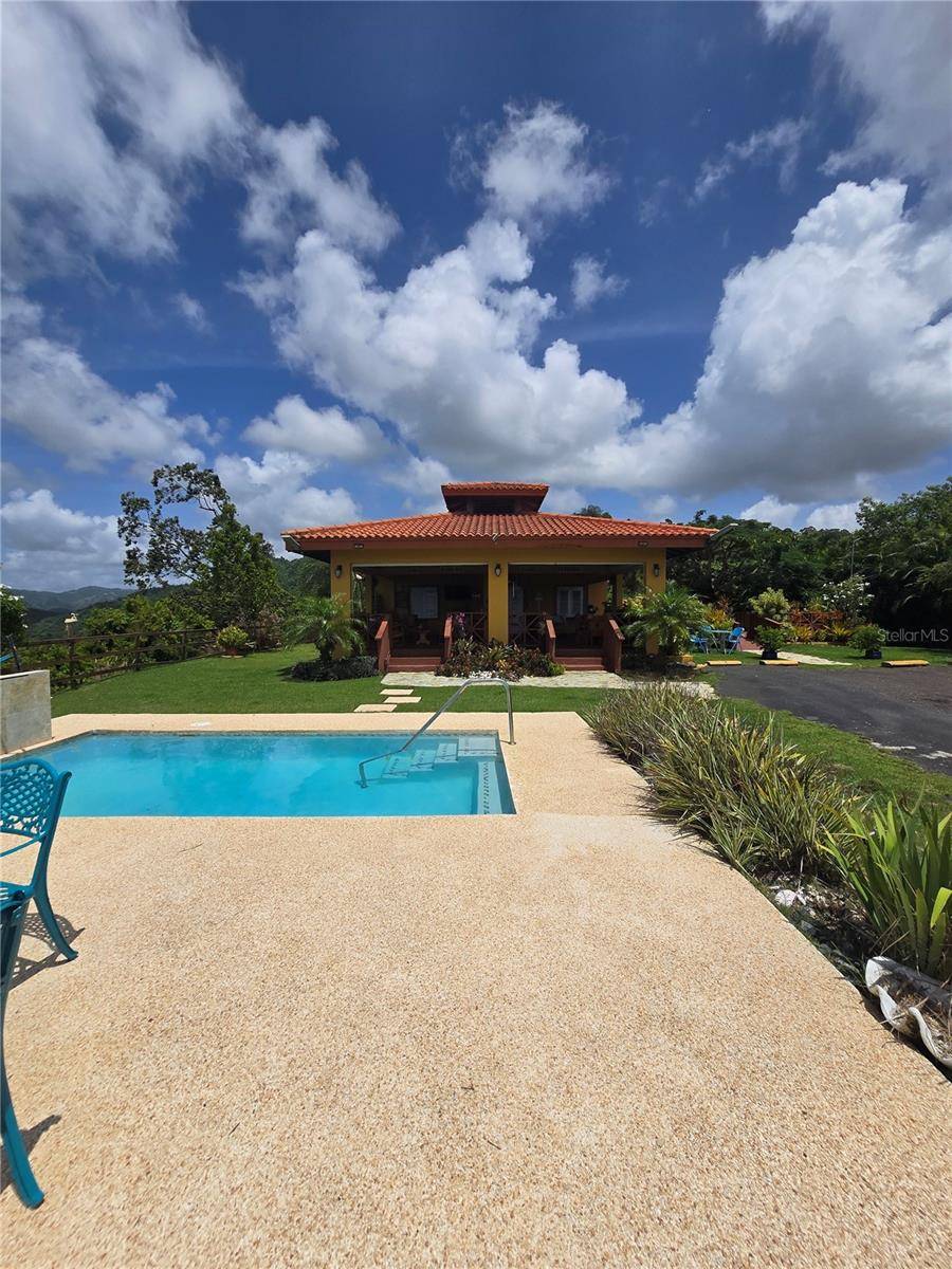 BO PULGUILLAS, CARR. 723, Coamo, PR 00769