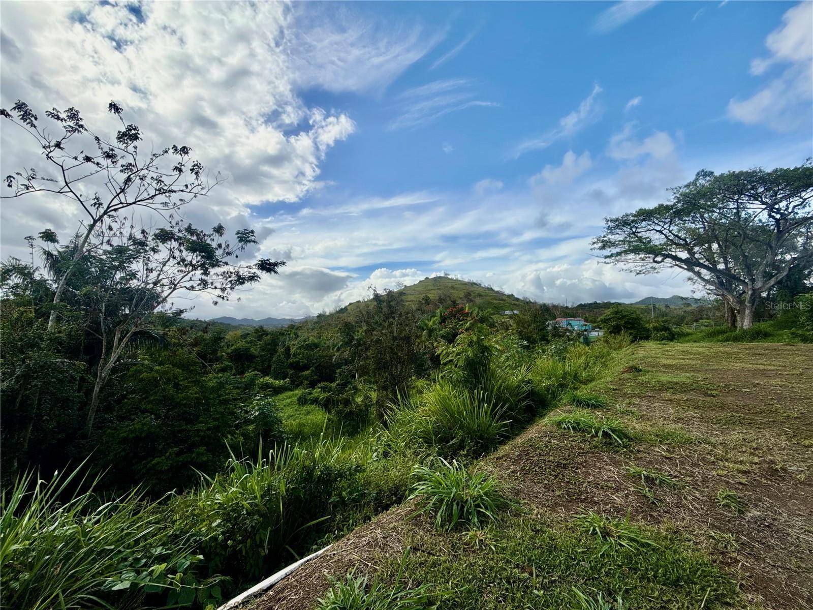 BO RINCÓN LOMAS, Cayey, PR 00736