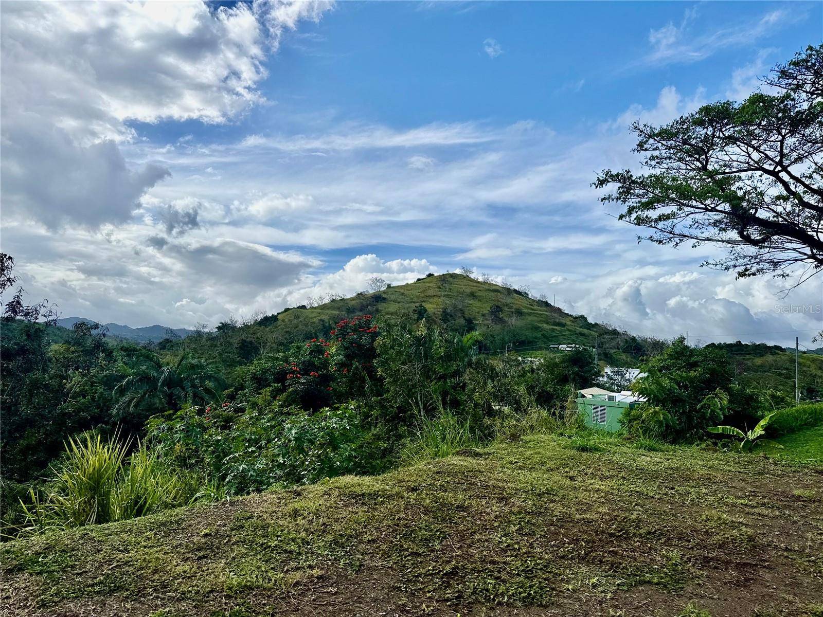 BO RINCÓN LOMAS, Cayey, PR 00736