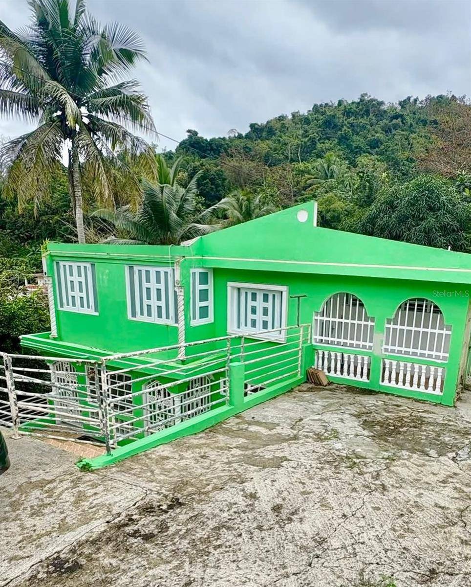 LA BARRA 105 F, Caguas, PR 00725