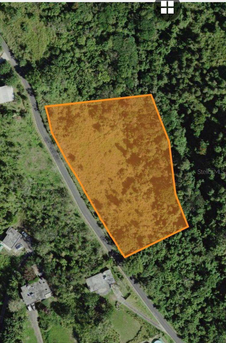 CARR. 723,2.3 INT., Aibonito, PR 00705