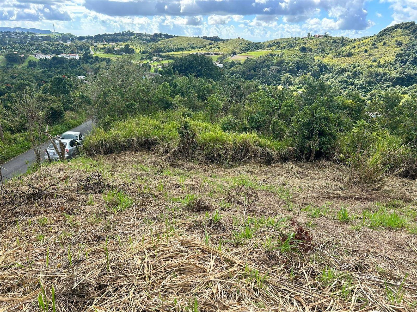 CARR. 723,2.3 INT., Aibonito, PR 00705