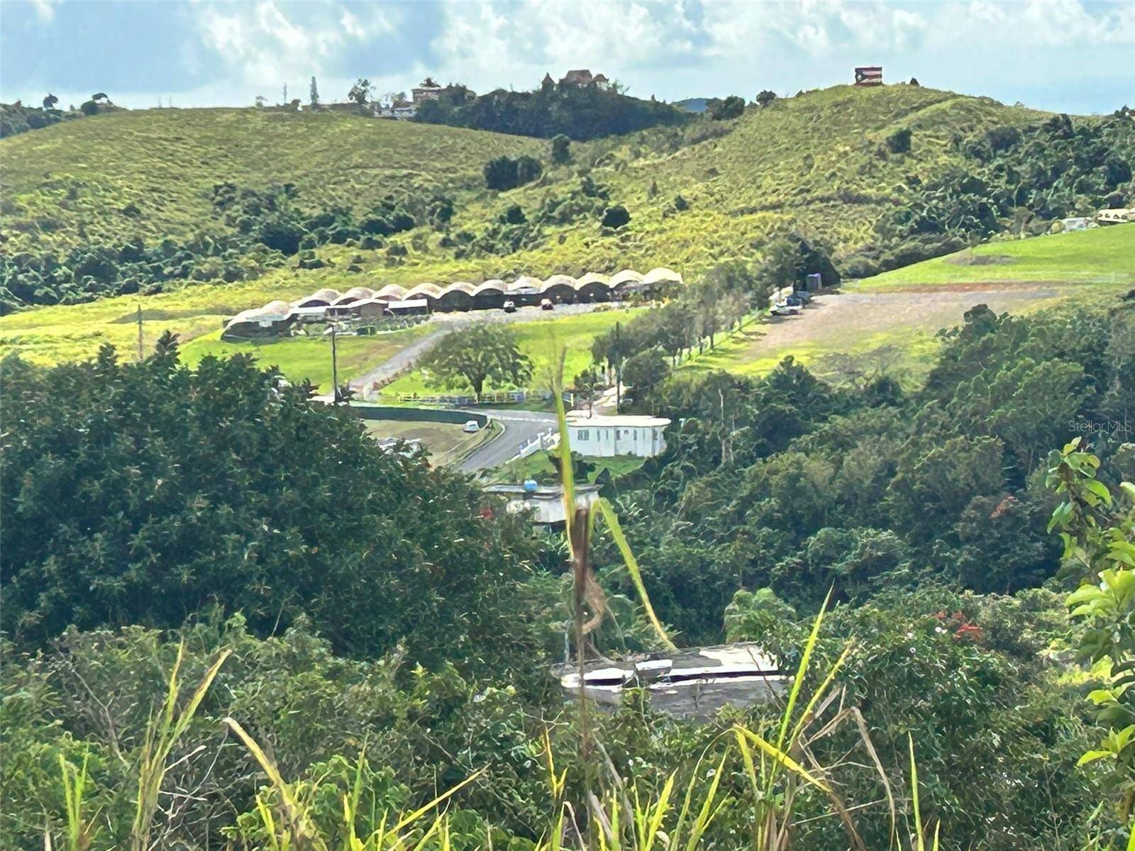 CARR. 723,2.3 INT., Aibonito, PR 00705