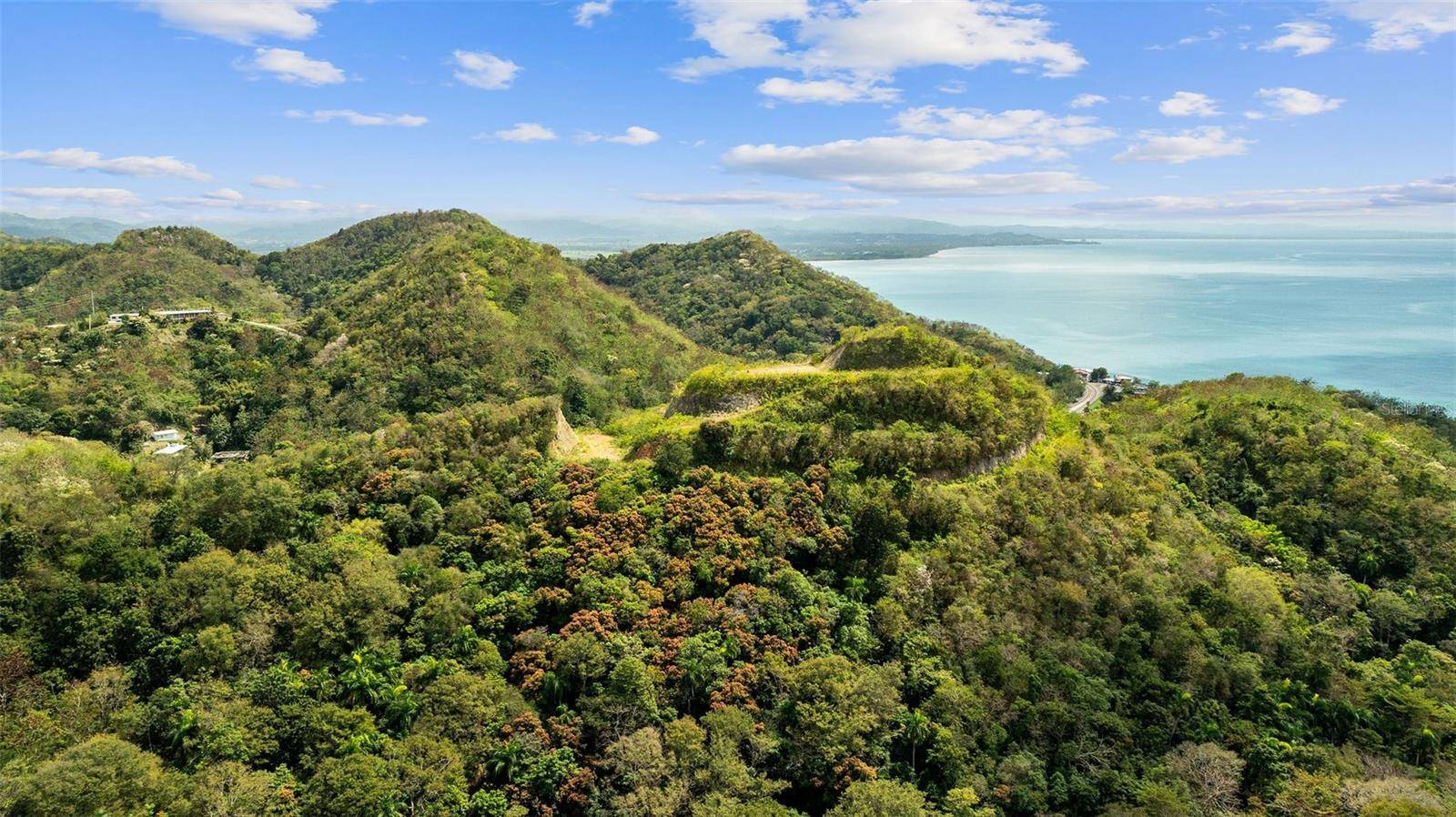 ROAD 115, Anasco, PR 00610