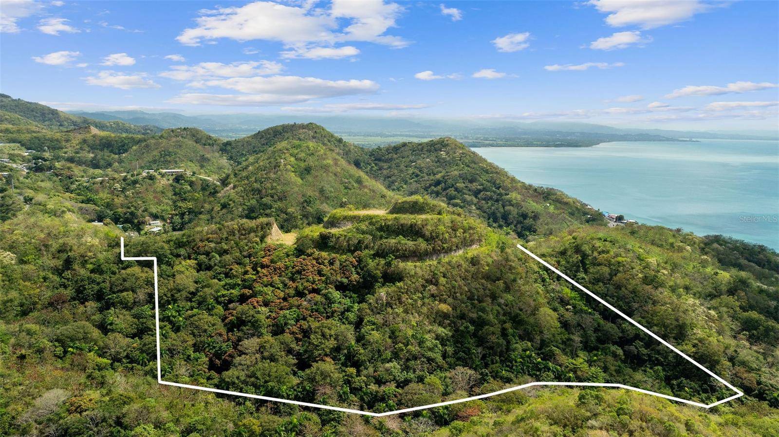 ROAD 115, Anasco, PR 00610