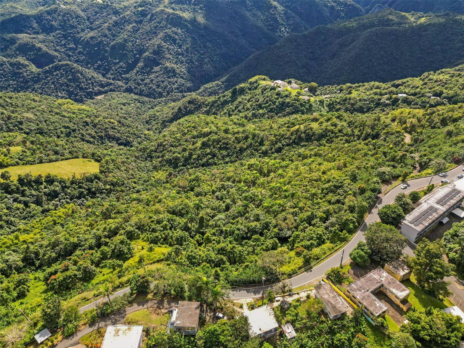 Carr 156 Km 20.1 INTERIOR BO HONDURAS, Barranquitas, PR 00794