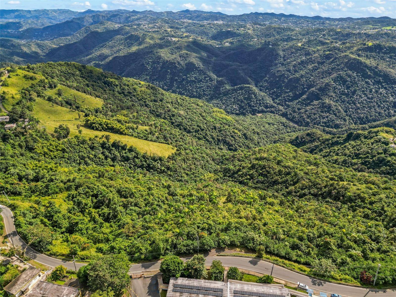 Carr 156 Km 20.1 INTERIOR BO HONDURAS, Barranquitas, PR 00794