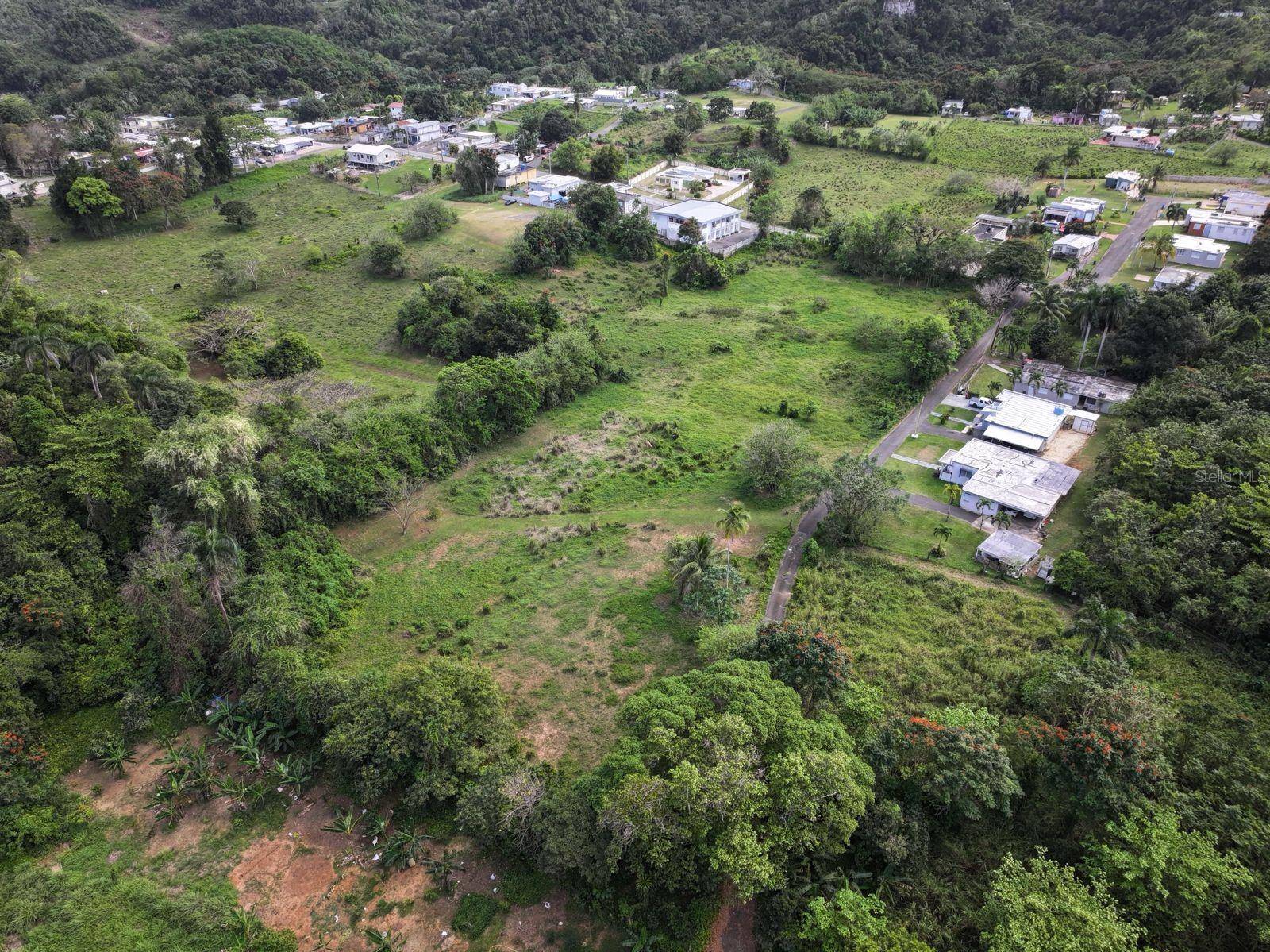 CARR 448, Camuy, PR 00627