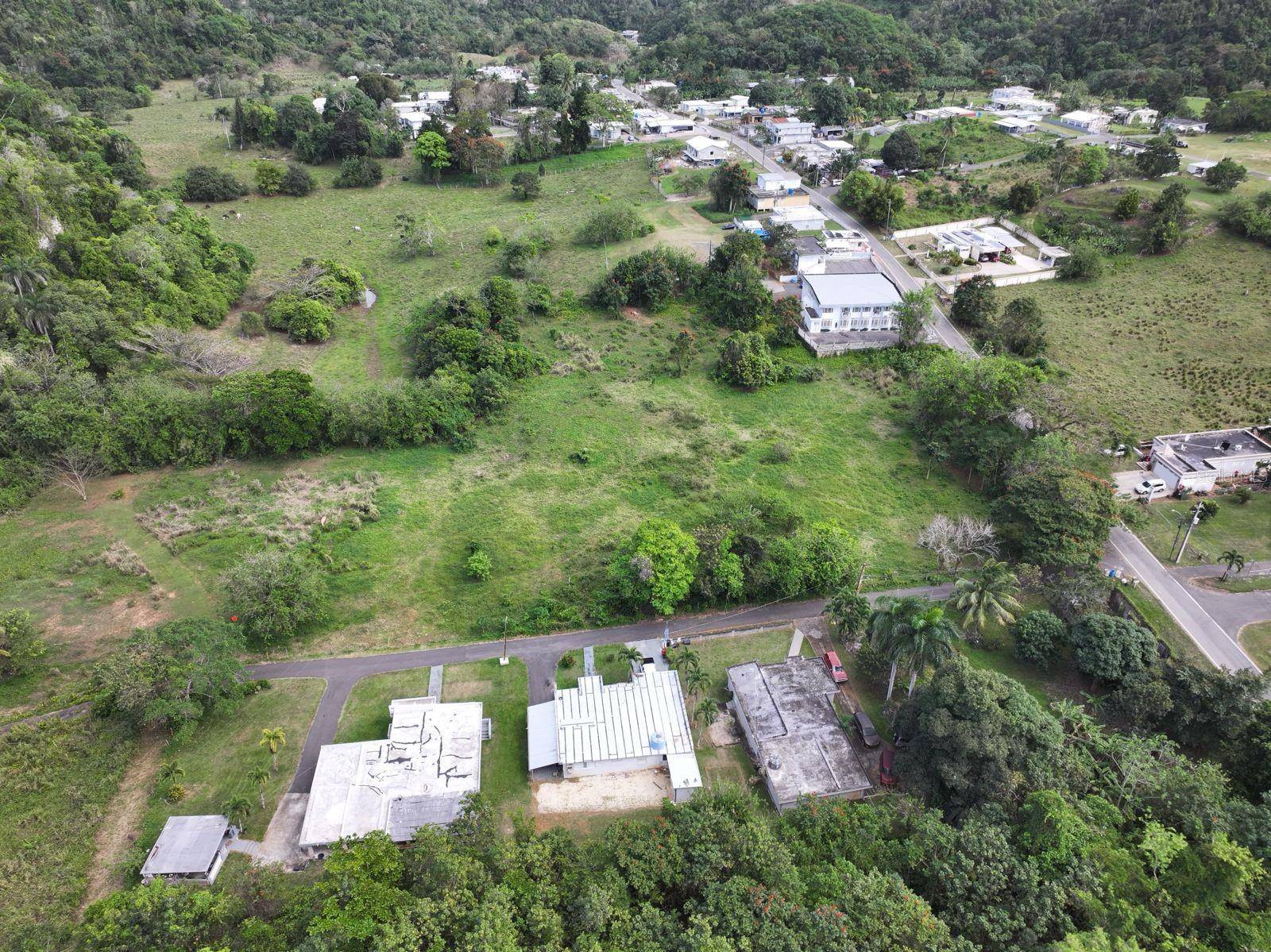 CARR 448, Camuy, PR 00627