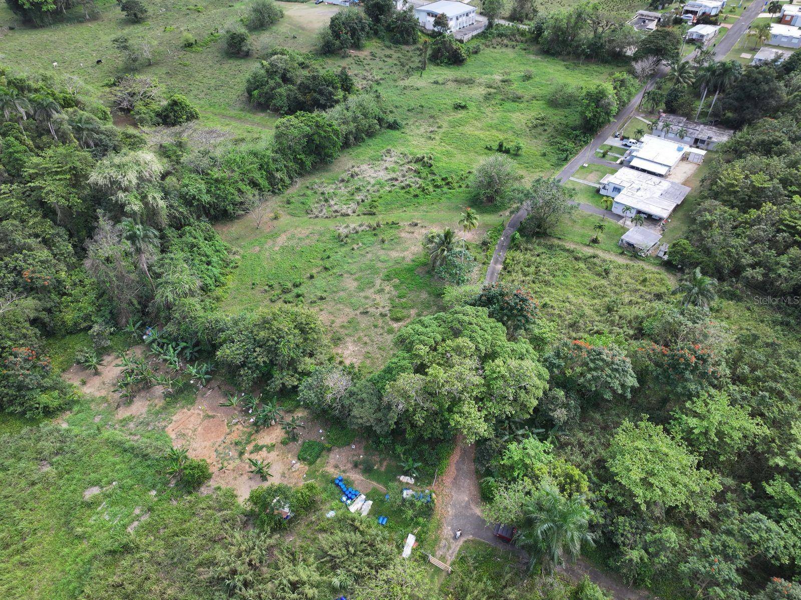 CARR 448, Camuy, PR 00627